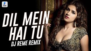 Dil Mein Hai Tu (Remix) | DJ Reme | Akshay Kumar & Raveena Tandon | Soulshaker 2022