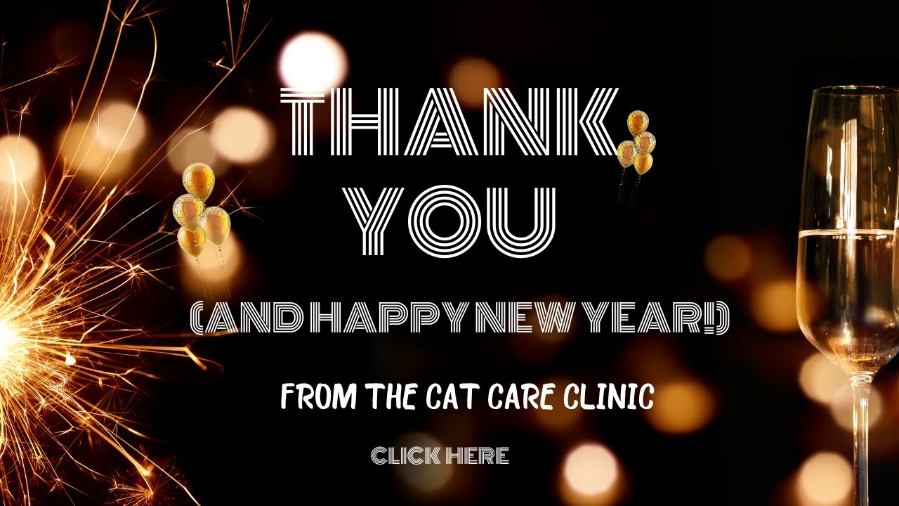 Thank You and Happy New Year 2024! - YouTube