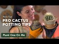 Repot a CACTUS (Without Getting Pricked) — Ep. 196