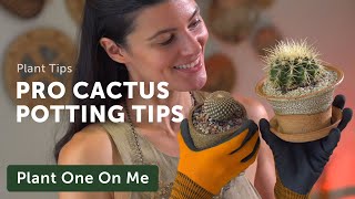 Repot a CACTUS (Without Getting Pricked) - Ep. 196