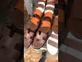 Creativity 😳👣🧶✂️🧵sandals #handcraftedshoes #shoemaking #shoes #fashion #handmadeshoes #