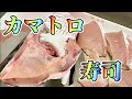 これ最強！【寒鰤のカマトロ】でお寿司を作る（釣って魚捌き動画#43）