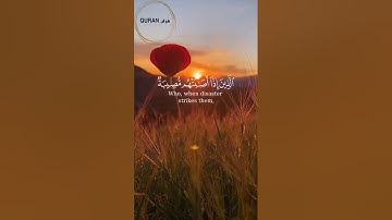 {وَلَنَبْلُوَنَّكُم بِشَيْءٍ مِّنَ الْخَوْفِ وَالْجُوعِ } [البقرة : 155-157]القارئ محمد هشام