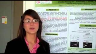 2010 Research in Science and Engineering RiSE) Program