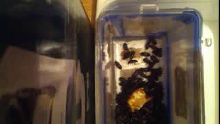 IMG 8792 302