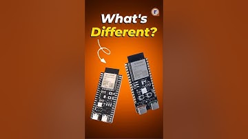 Identical… But NOT the Same?! Which One’s Smarter?