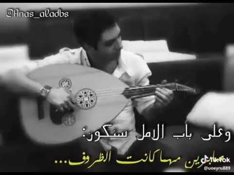 الصقر الجارح 