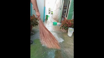 bột tẩy rong rêu và thuốc khử khuẩn.99k/3 túi