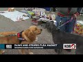 Paws and Stripes raises funds for veterans with flea market