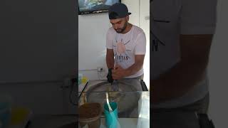 Helado tailandés en Villa Carlos paz screenshot 5