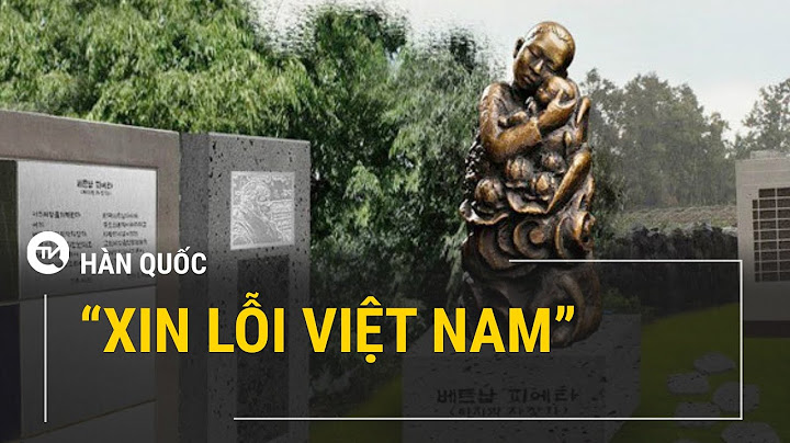 Dân hàn quốc quỳ xin lỗi dân việt năm 2024