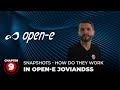 How to Create Snapshots for High Data Storage Protection with Open-E JovianDSS (Chapter 9)