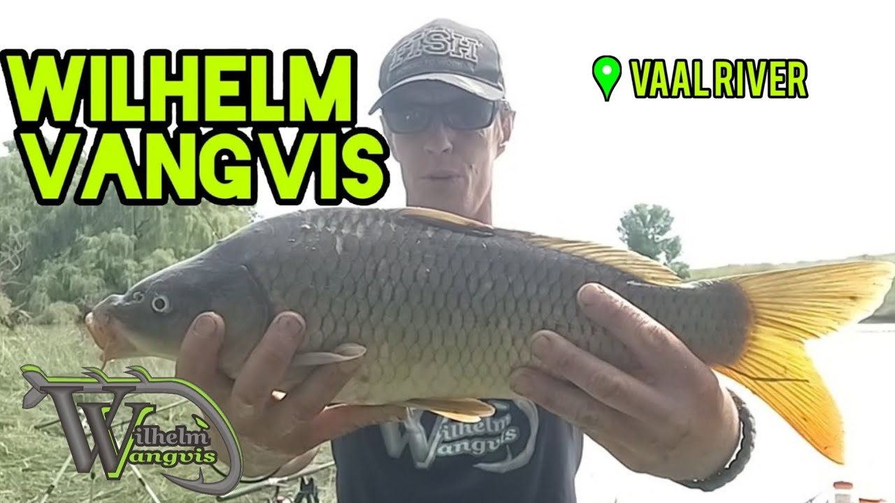 Start 2026 with a Triple Species Session! Carp, Muddy & Barber – Vaal River