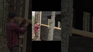 Sustainable Off-Grid Cabin Living: Water, Power, and Life in the Forest 🌲💧💡