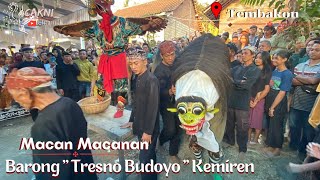 MABUK MANING!! Macan Macanan 'Barong Tresno Budoyo' Kemiren ||Live Tembakon||