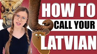 ULTIMATE NICKNAME GUIDE | IRREGULAR LATVIAN
