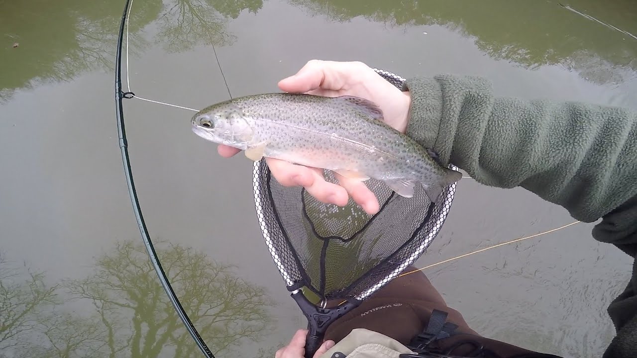 Elk River Trout Fishing Tennessee USA YouTube