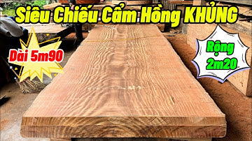 CHOÁNG NGỢP | Siêu Chiếu Ngựa Nguyên Khối Gỗ Cẩm Hồng Khủng - Đẹp Không Vết Muỗi Đốt