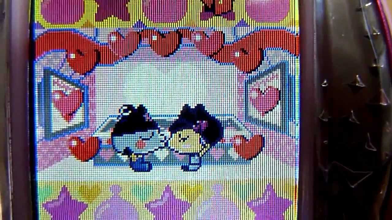 たまごっち くろまめっちの 結婚 Youtube