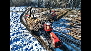 🌲4K|*3x Komatsu* • 931XC & 875 & 855 • Forestmachines in Action • Harvester & Forwarder • Surtmann🌲