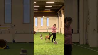 Rally-Tokon Mestariluokka. Oikukas Cena