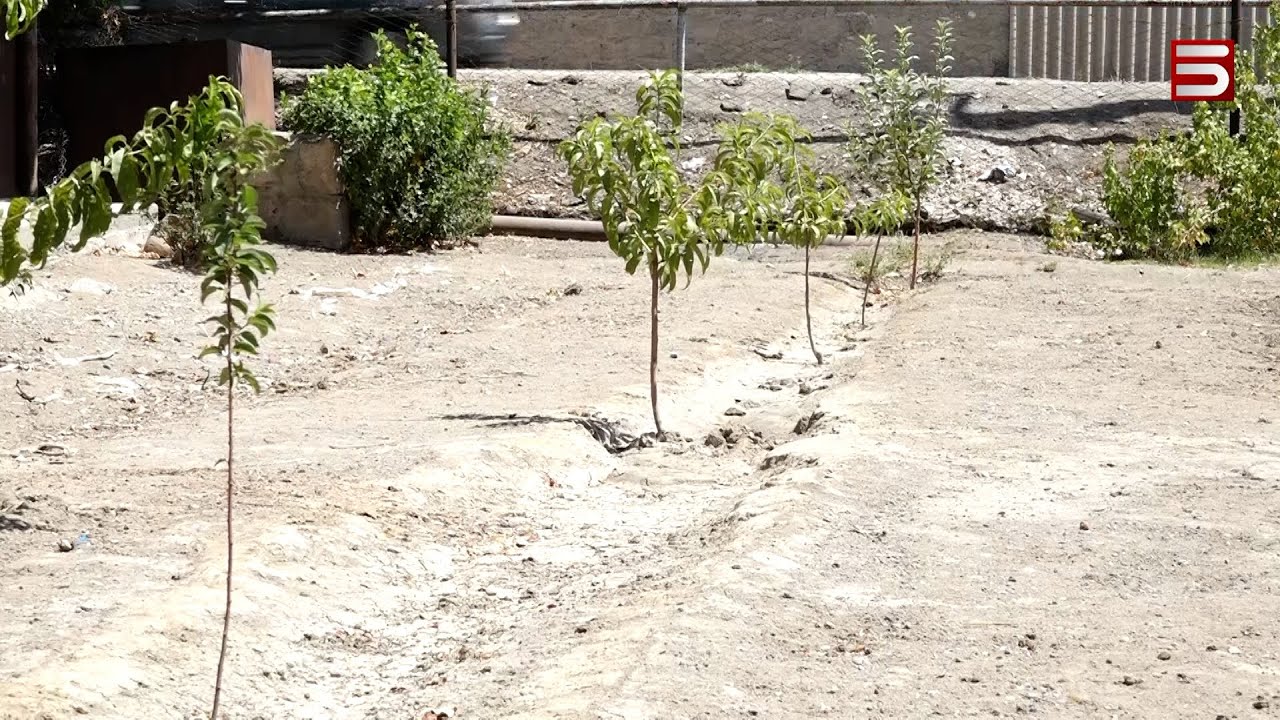 Ջուր չկա, բերք չկա. Արարատյան դաշտին անապատացում է սպառնում