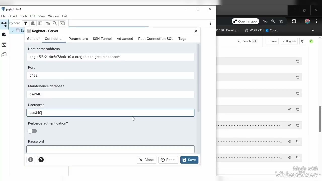 database practice with SQL pgAdmin and VSC