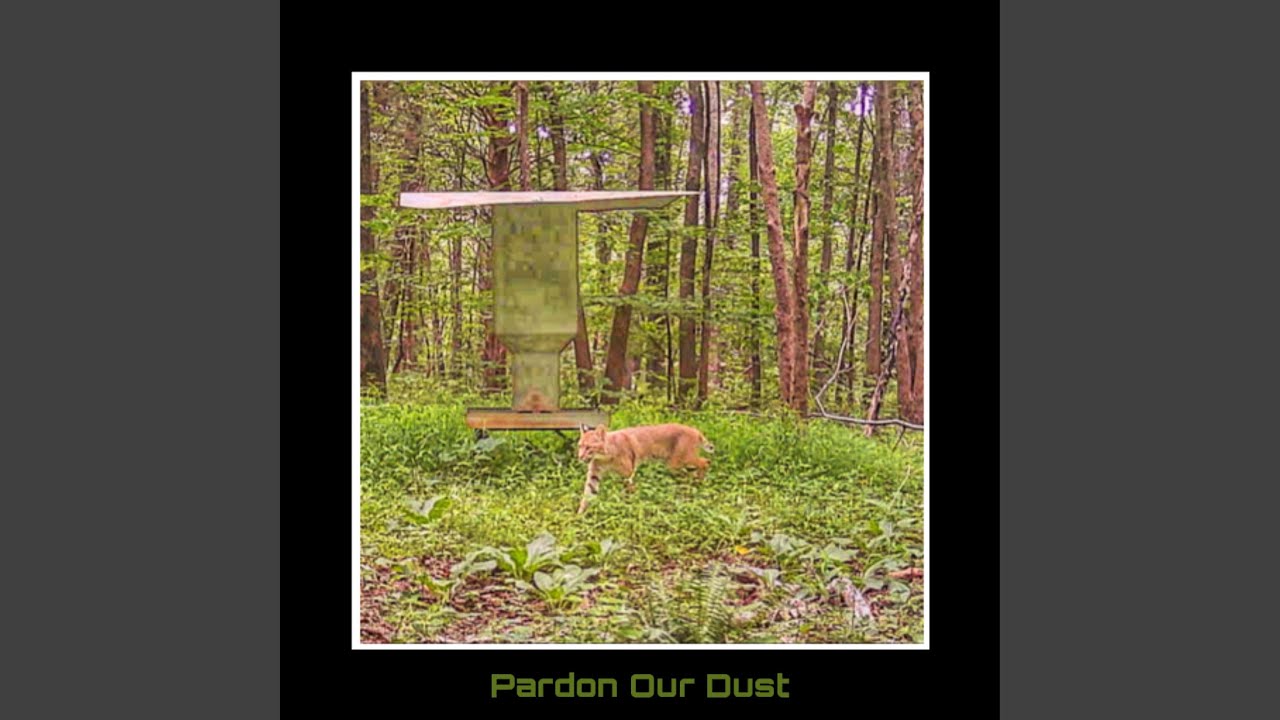 Watch Bobcat on YouTube Watch Bobcat on YouTube