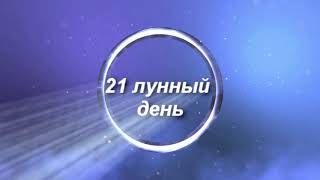 21 лунные сутки