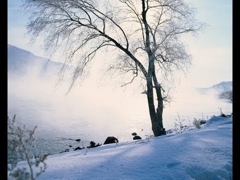 Прости Меня За Всё - Яна Грей-Редкий Русский Романс Бориса Фомина- Russian Romance - Yana Gray