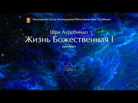 Шри Ауробиндо. Книга "Жизнь Божественная ". Том 1. Глава 1 - Устремления Человечества