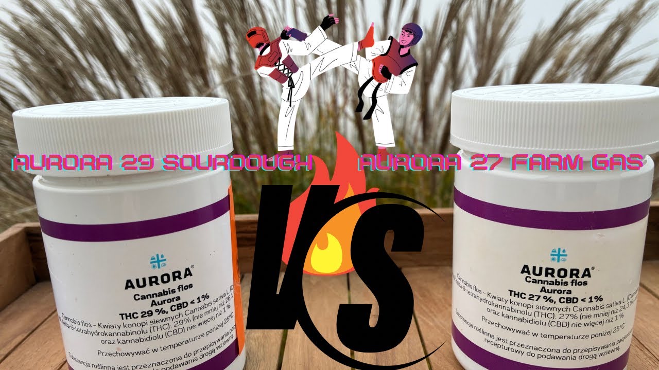 Aurora 29 Sourdough vs Aurora 27 Farm Gas, charakterystyka - opis odmian