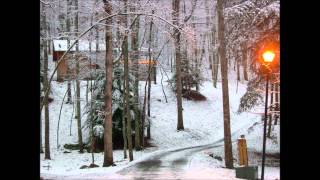 Video thumbnail of "Tennessee Christmas - Steve Wariner"