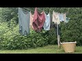 Homemaker chats building a clothesline for free  its benefits