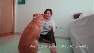 Wrestling with my dog BJJ style | Self isolation with doggo
