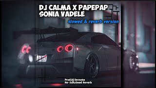 DJ Calma × Papepap Sonia Vadele | slowed & reverb version