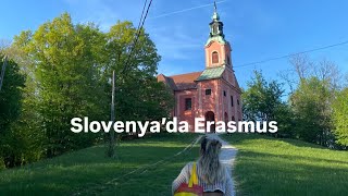 Erasmus Soru Cevap Slovenyada Erasmus, Harcamalar, Hibe, Evyurt Bulmak
