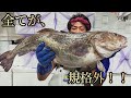 【18禁】大きさ！お腹の中！全てが規格外なまでに育ったあの魚で、絶品3品料理！！