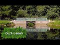 Сад 9-го января (2025)