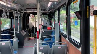 TheBus Route 6, Bus 4002 (Part 4)
