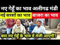 नए गेहूं का भाव अलीगढ़ मंडी ll नई सरसों का भाव ll gehu ka bhav ll sarson ka bhav ll