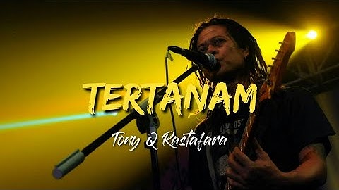 TONY Q RASTAFARA - TERTANAM LIVE ANCOL