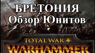 Total War: Warhammer - Бретония Обзор Юнитов