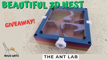 3D Ant Nest - RS3D R1 Nest Review - The Ant Lab
