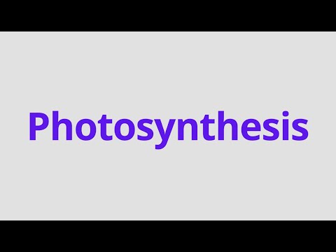 Video: Ni aina gani tofauti za photosynthesis?