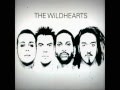 The Wildhearts - Oh, Bonita!