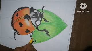 Start Of A Beginning Draw From Now Till End