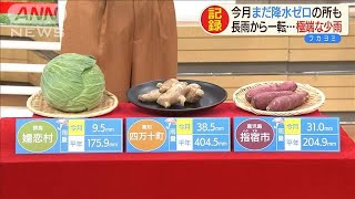 野菜の高値いつまで続く？　最新3カ月予報にヒント(2020年8月25日)