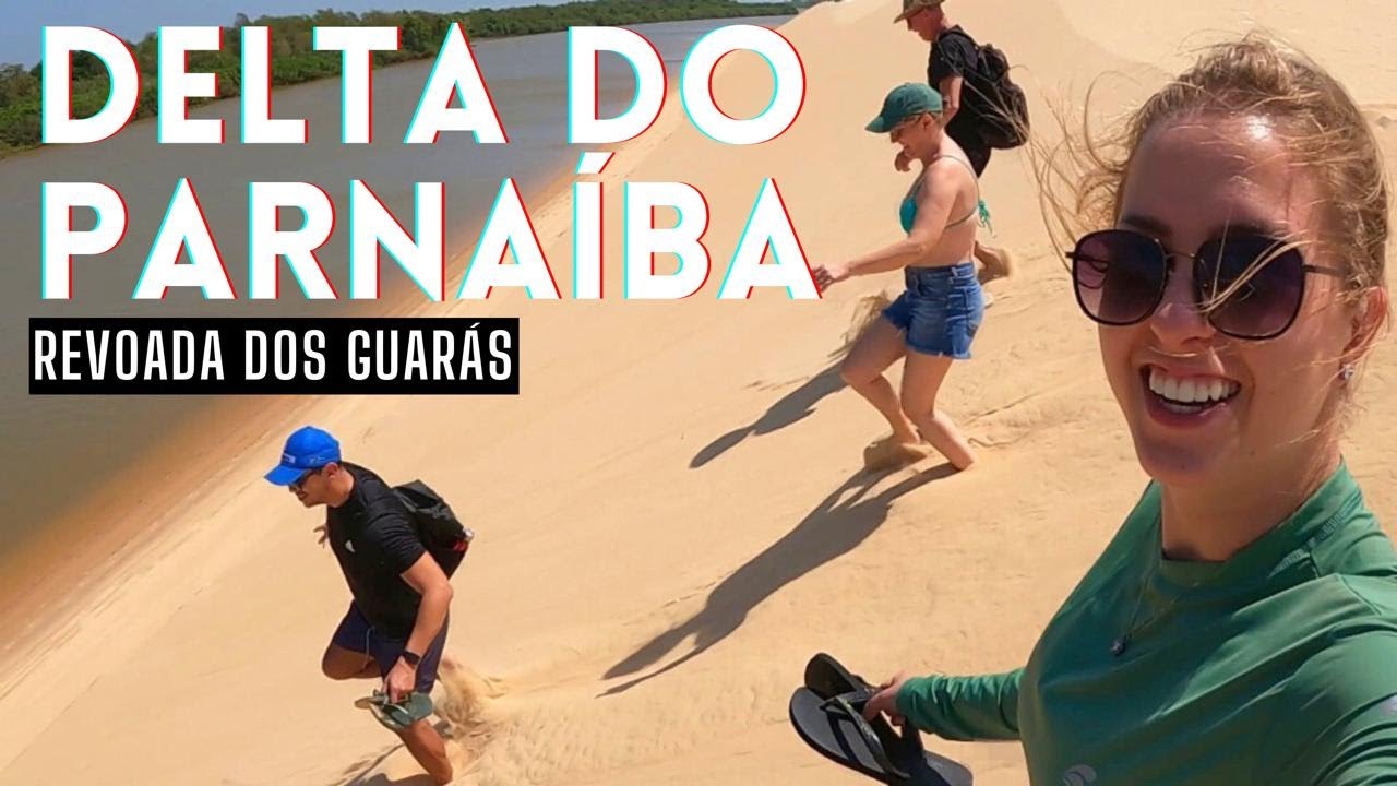 PASSEIO INCRÍVEL! A Revoada dos Guarás no Delta do Parnaíba - PIAUÍ