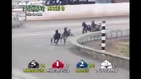 1999 Fairmount Park MANTESE GIRL Ervin Miller
